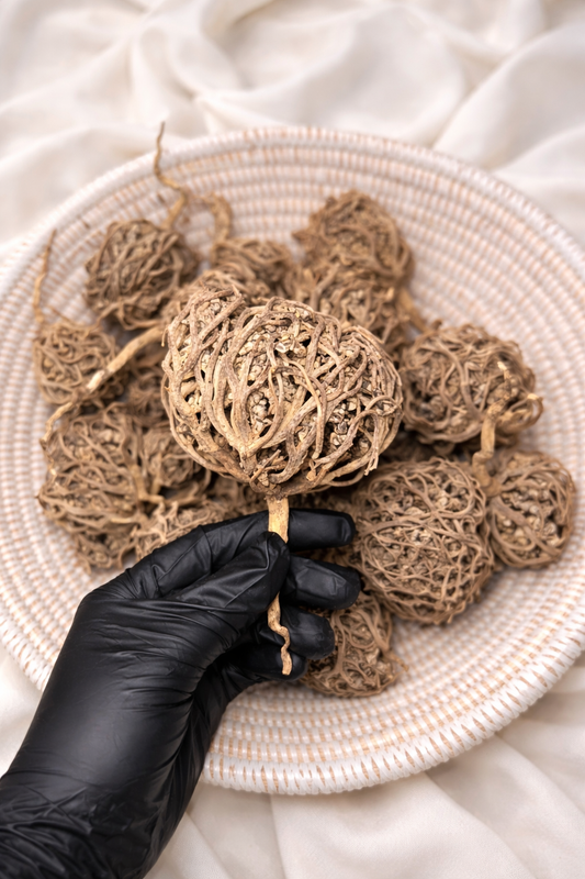 Rose de Jéricho ( Charajat Mariam )